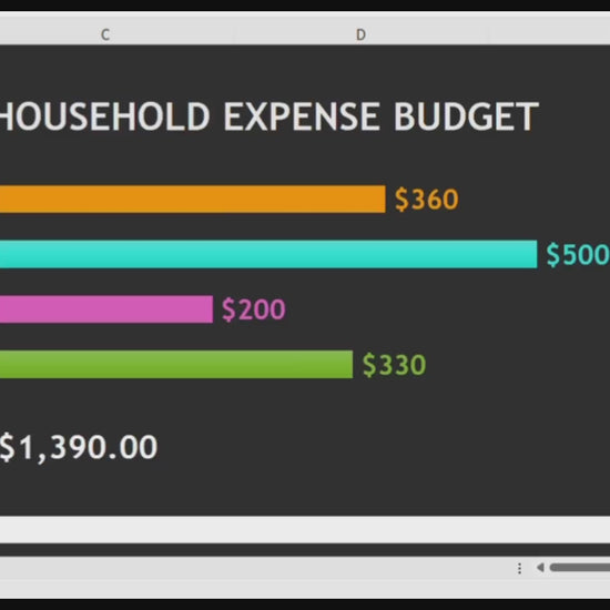 Roommate Budget Video