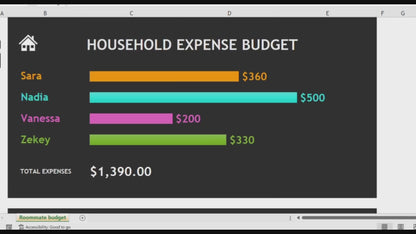 Roommate Budget Video